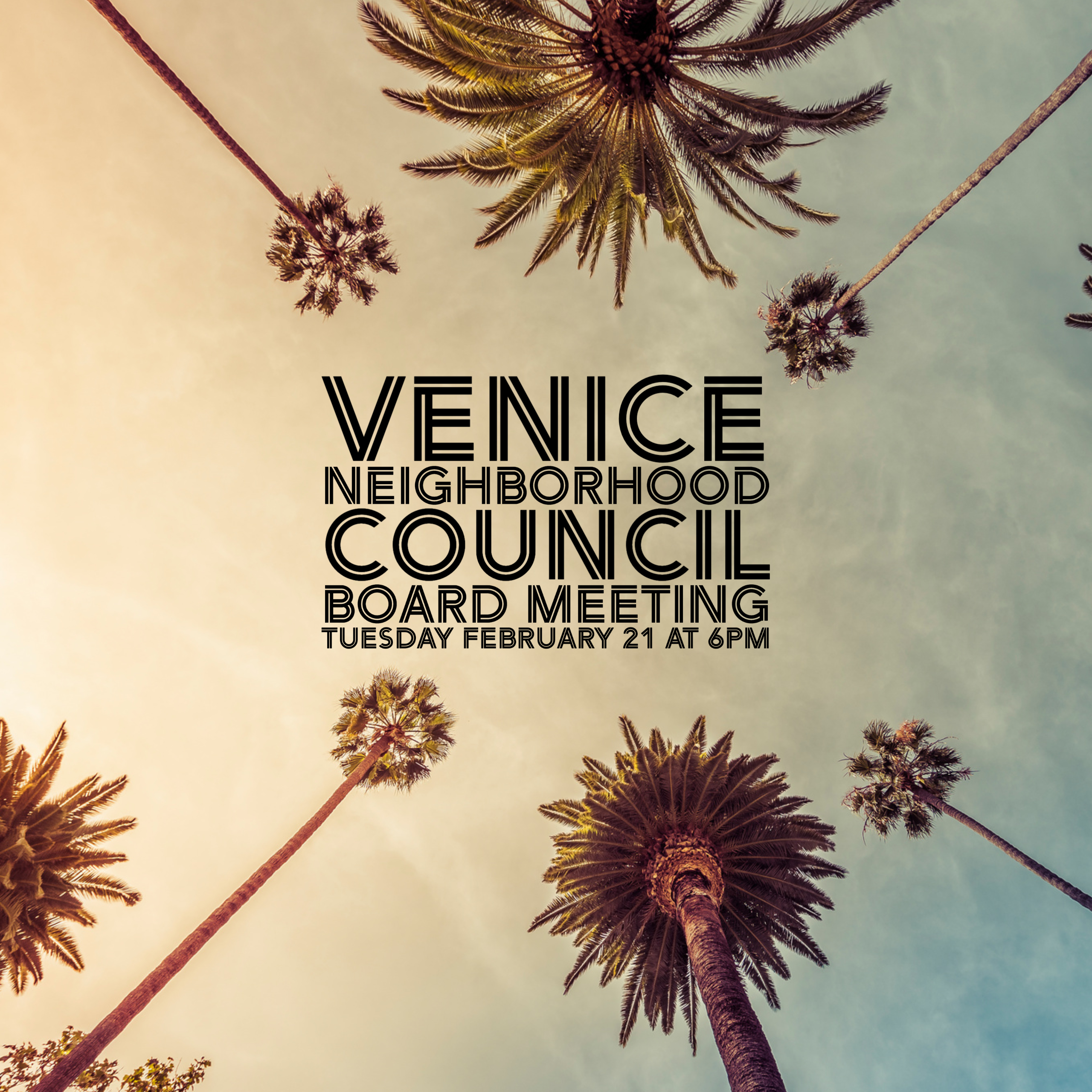 🏂February~VENICE NEIGHBORHOOD COUNCIL GENERAL BOARD WEBINAR~Tuesday, February 21st at 6pm