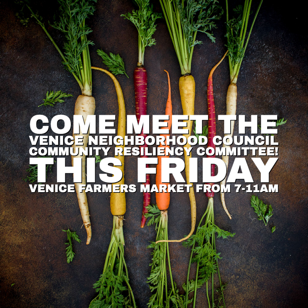 🌅THIS FRIDAY~Venice Community Resiliency  at Venice Farmers Market✹7-11am