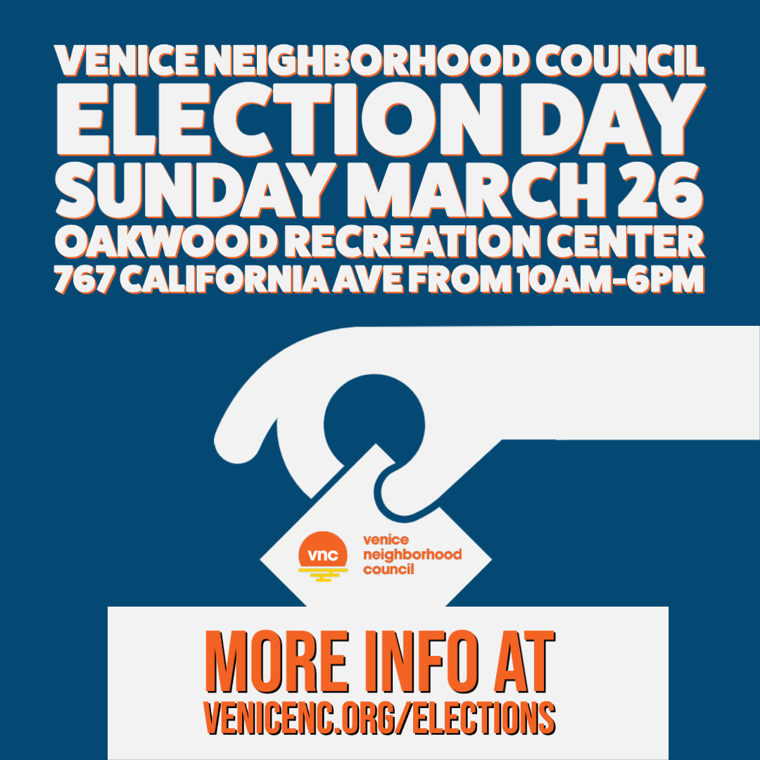 📣2023 VNC Elections‼️Sunday✹March 26th✹10-6pm
