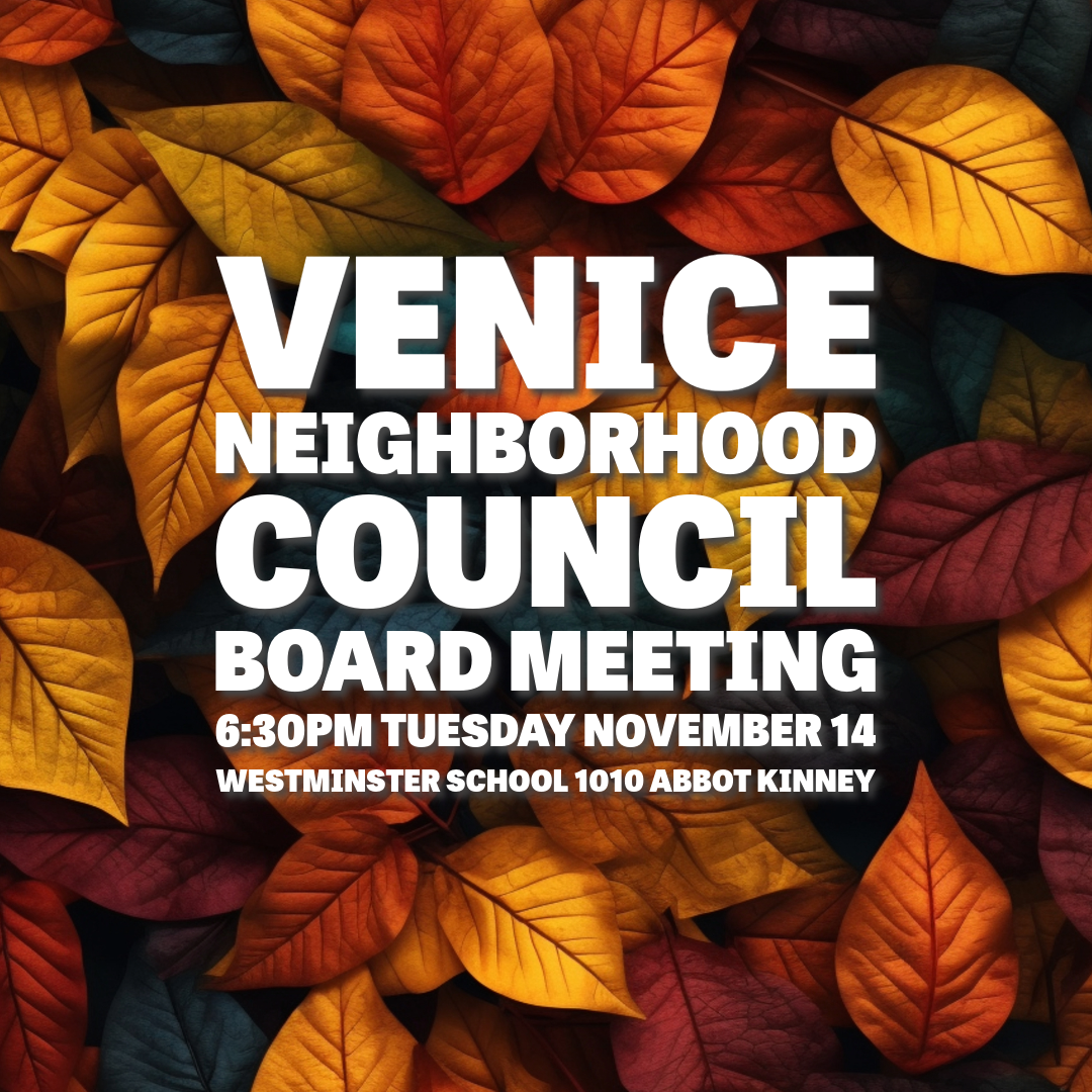 November Board Meeting